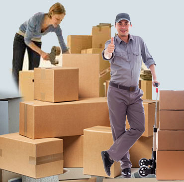 Move India Packers and Movers